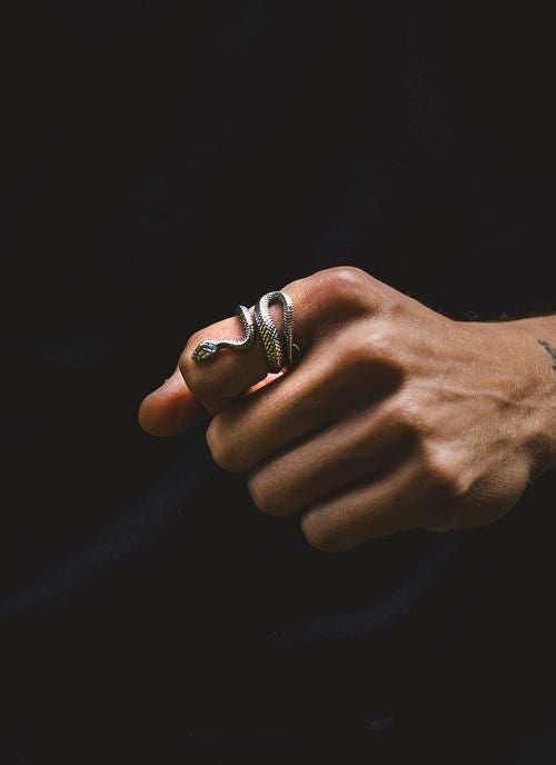 Aesthetic Snake Ring